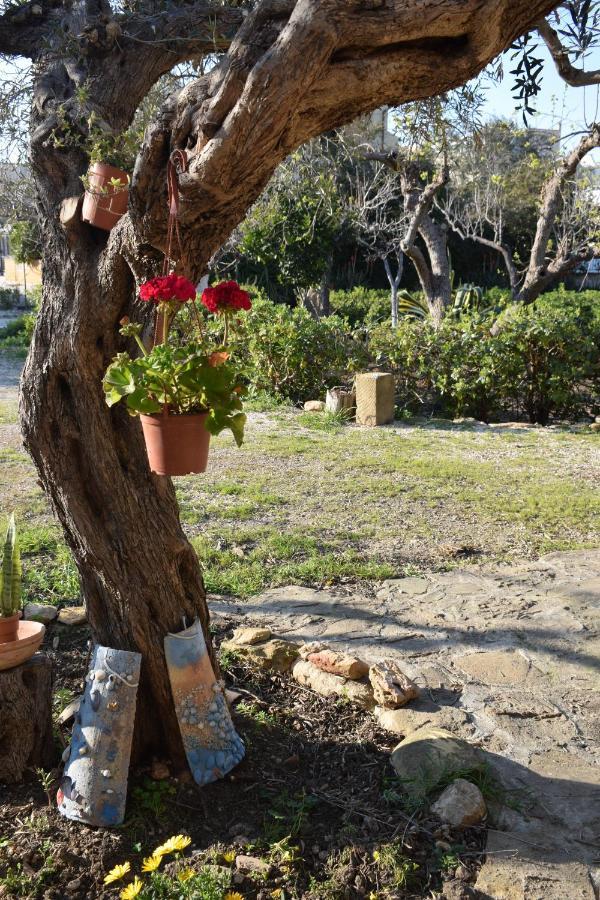 Casa Dell'Olio - Al Baglio Villa Пачеко Екстериор снимка
