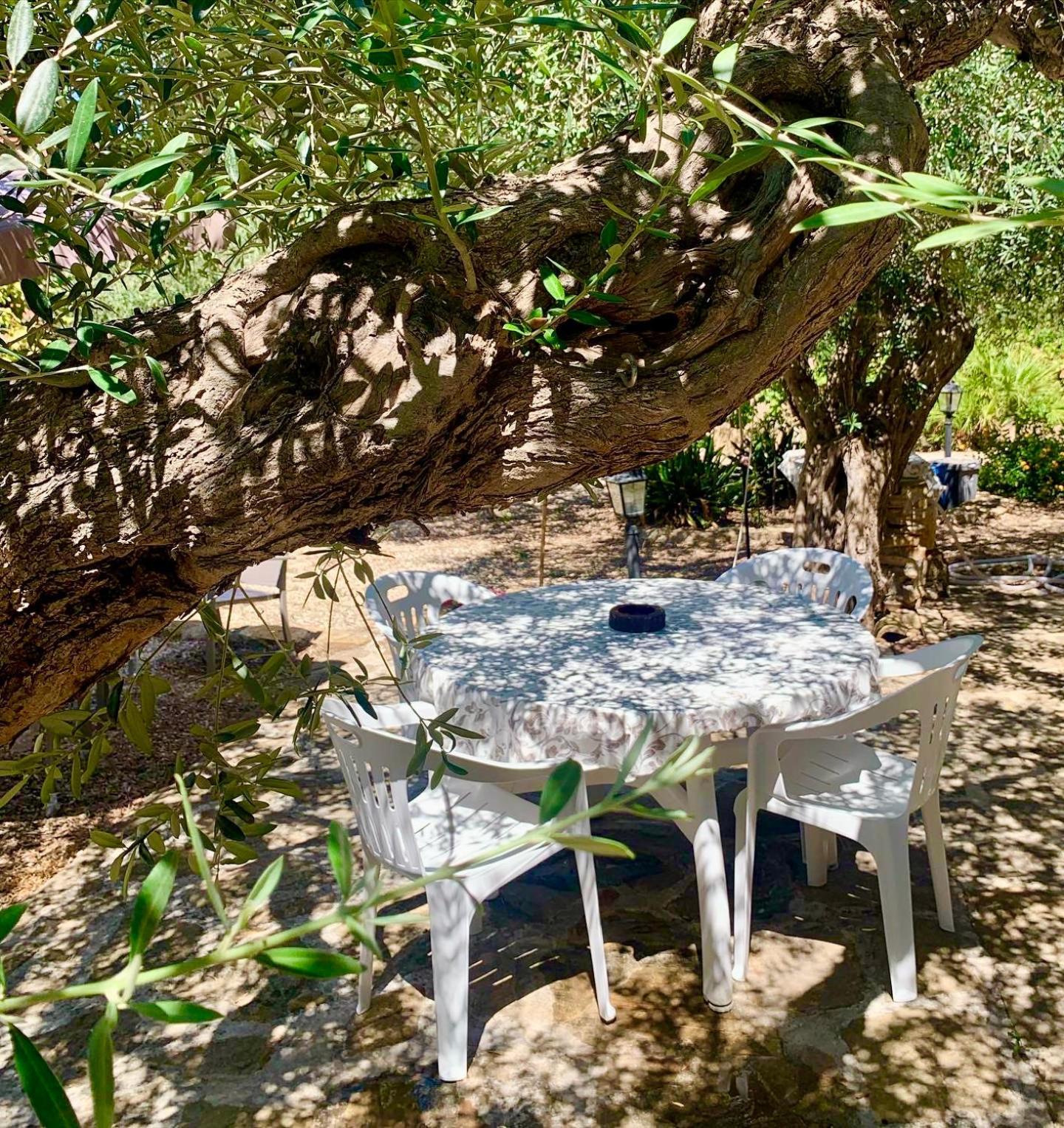 Casa Dell'Olio - Al Baglio Villa Пачеко Екстериор снимка